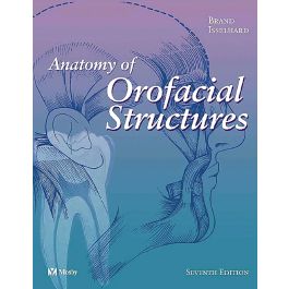 Anatomy Of Orofacial Structures