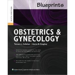 Blueprints Obstetrics and Gynecology / Edition 6 
