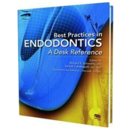 Best Practices in Endodontics: A Desk Reference, 1st Edition