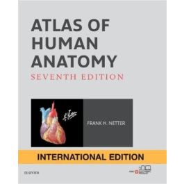 Atlas of Human Anatomy, International Edition, 7th Edition