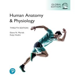 Human Anatomy & Physiology, 12th Edition, Global Edition