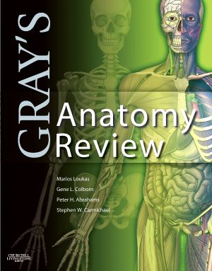 Gray's Anatomy Review, International Edition