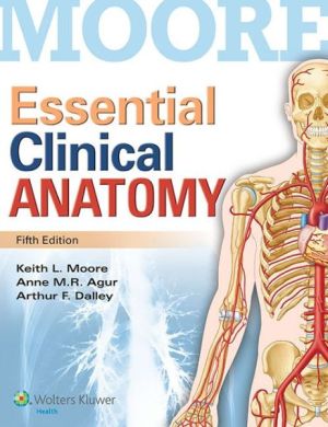 Essential Clinical Anatomy, 5th Edition, Internationa dition