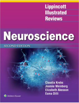 Lippincott Illustrated Reviews: Neuroscience, International edition, 2nd Edition