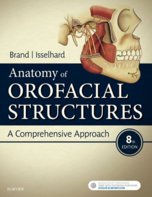 Anatomy of Orofacial Structures: A Comprehensive Approach 8th Edition