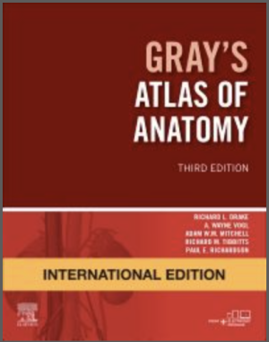 Grays-Atlas-of-Anatomy-9780323636407