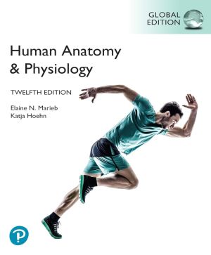 Human Anatomy and physiology