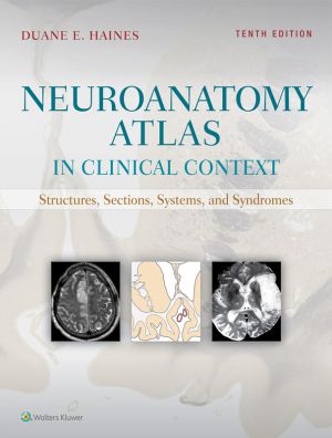 Neuroanatomy Atlas in Clinical Context: Structures, Sections, Systems, and Syndromes, 10th Edition, International Edition