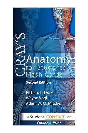 Gray's Anatomy for Students Flash Cards, 2nd Edition: with STUDENT CONSULT Online Access