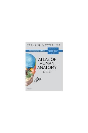 Atlas of Human Anatomy, International Edition, 6th Edition