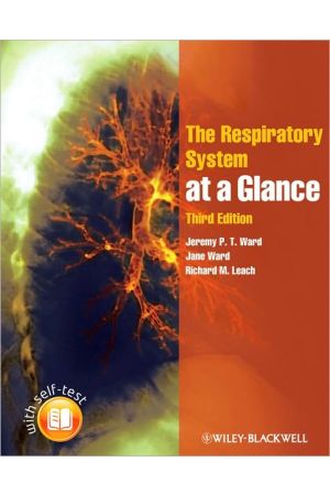 The Respiratory System at a Glance