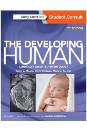 The Developing Human, International Edition, 10th Edition: Clinically Oriented Embryology