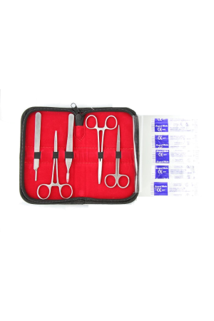 Stainless Steel Suture kit - with 5 Suture