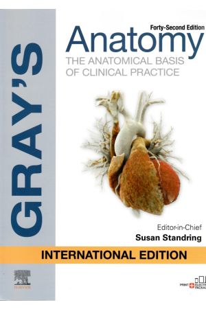 Gray's Anatomy: The Anatomical Basis Of Clinical Practice