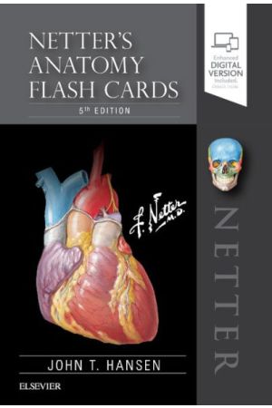 netters-anatomy-flash-cards-9780323530507