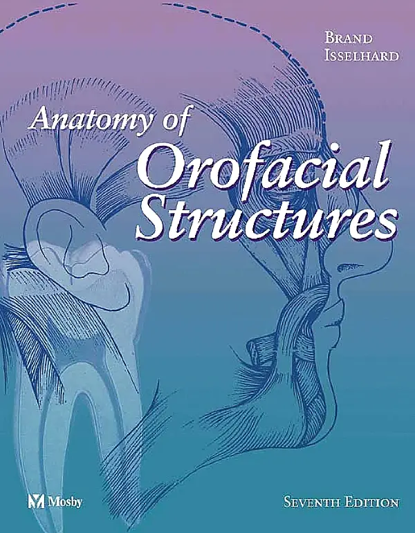 Anatomy Of Orofacial Structures