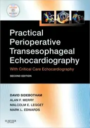 Practical Perioperative Transesophageal Echocardiography, 2nd Edition: : With Critical Care Echocardiography [With DVD ROM]