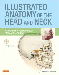 Illustrated Anatomy of the Head and Neck, 4th Edition