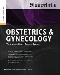 Blueprints Obstetrics and Gynecology / Edition 6