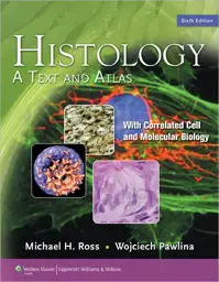Histology: A Text and Atlas with Correlated Cell and Molecular Biology / Edition 6
