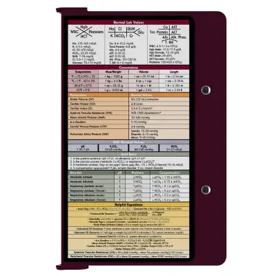 WhiteCoat Clipboard® Kit - Wine Medical Edition