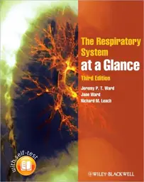 The Respiratory System at a Glance