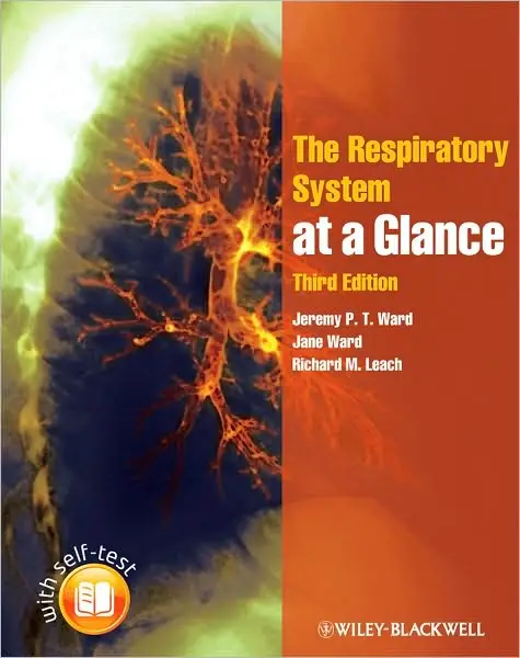 The Respiratory System at a Glance