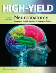 High-Yield™ Neuroanatomy, 5th edition