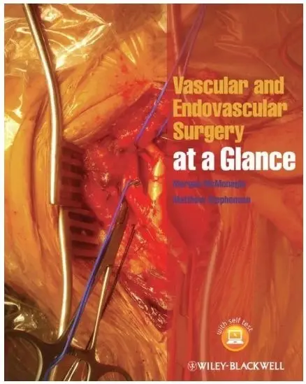 Vascular and Endovascular Surgery at a Glance