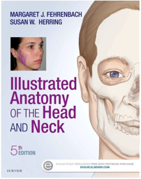 Illustrated Anatomy of the Head and Neck, 5th Edition