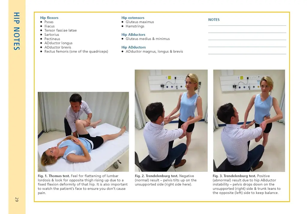 Essential Examination, fourth edition