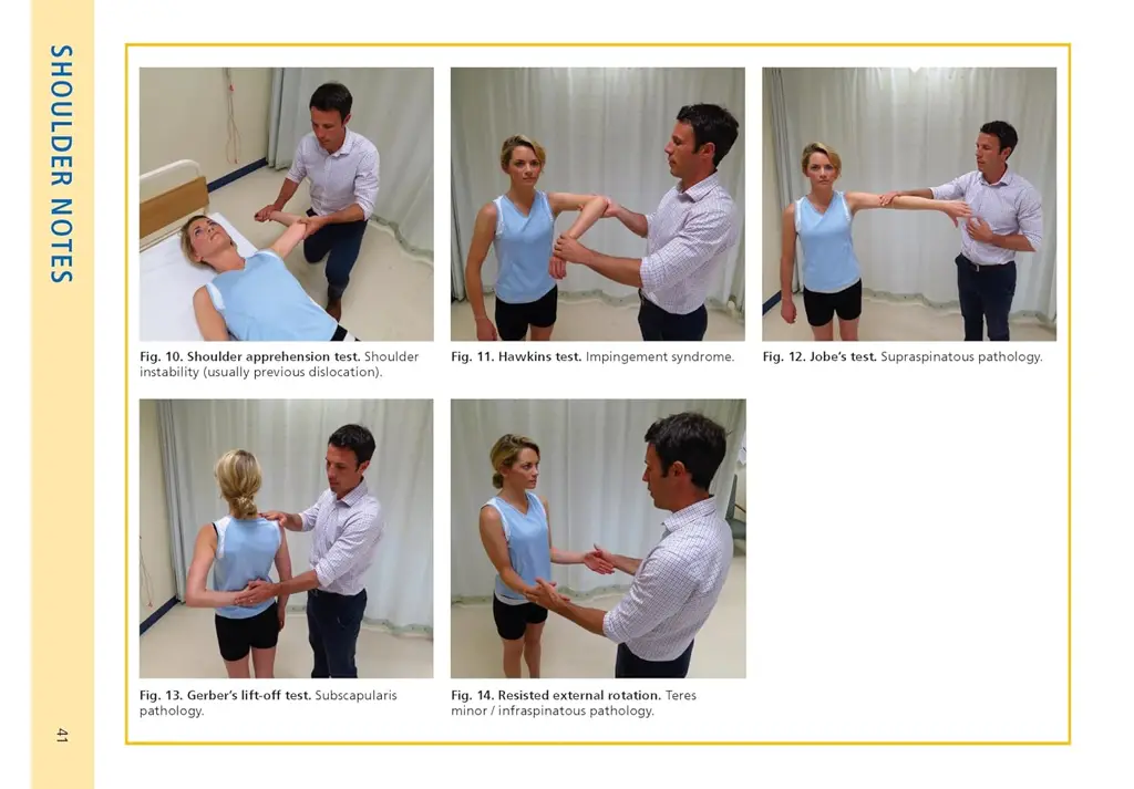 Essential Examination, fourth edition