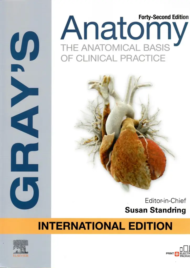 Gray's Anatomy: The Anatomical Basis Of Clinical Practice 42nd Edition, International Edition