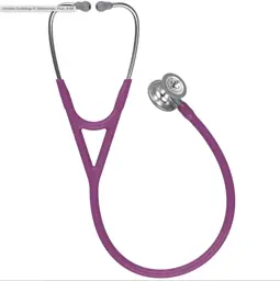 Littmann Cardiology IV Stethoscope, Plum, 6156