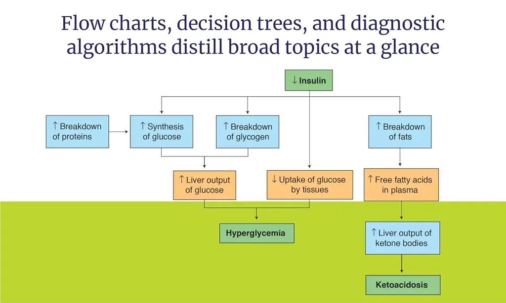 Master the Boards USMLE Step 2 CK, Eighth Edition (2026)