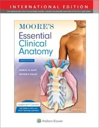 Moore's Essential Clinical Anatomy