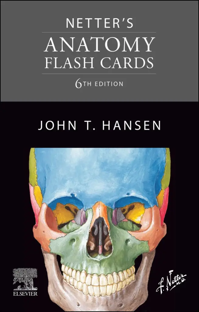 Netter's Anatomy Flash Cards, 6th Edition